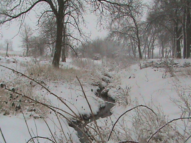 [winter2007+020.jpg]