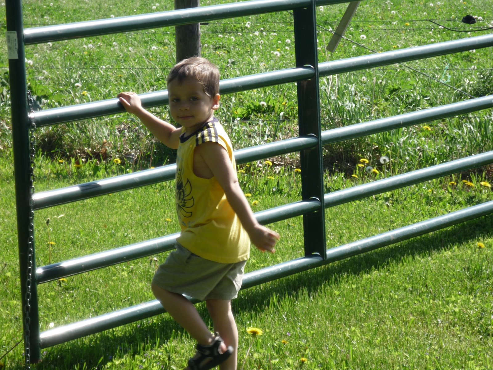 [P1000848.JPG]