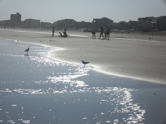 Folly Beach in NC
