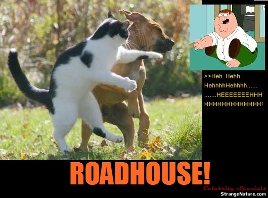 Rate This Funny Family Guy Roadhouse Picture and Caption!