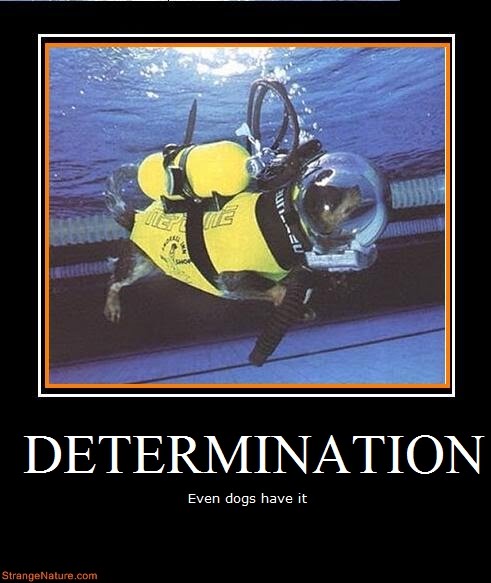 quotes on determination. funny motivational quotes.