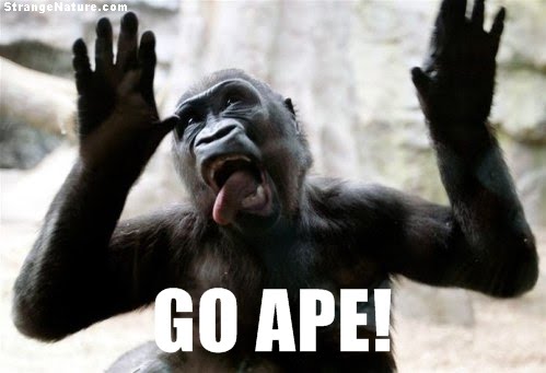 Drunk Ape