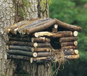 mourning dove bird house plans
