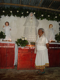 Virgin Mary Fiesta,  Feb 12, 2008