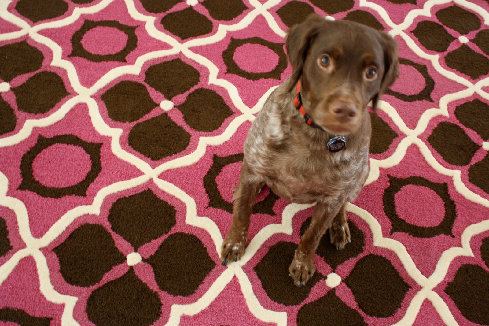 Rug Burn My Principality