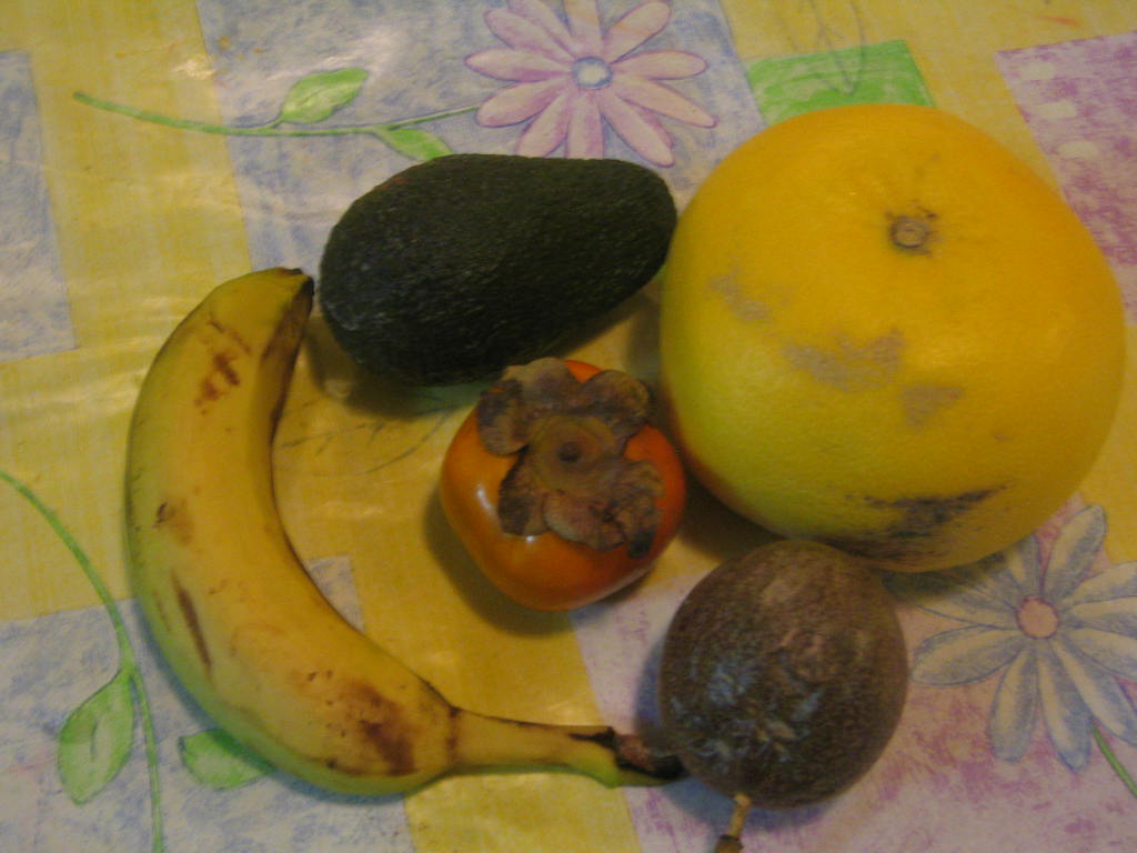 [tu+beshevat+022.JPG]