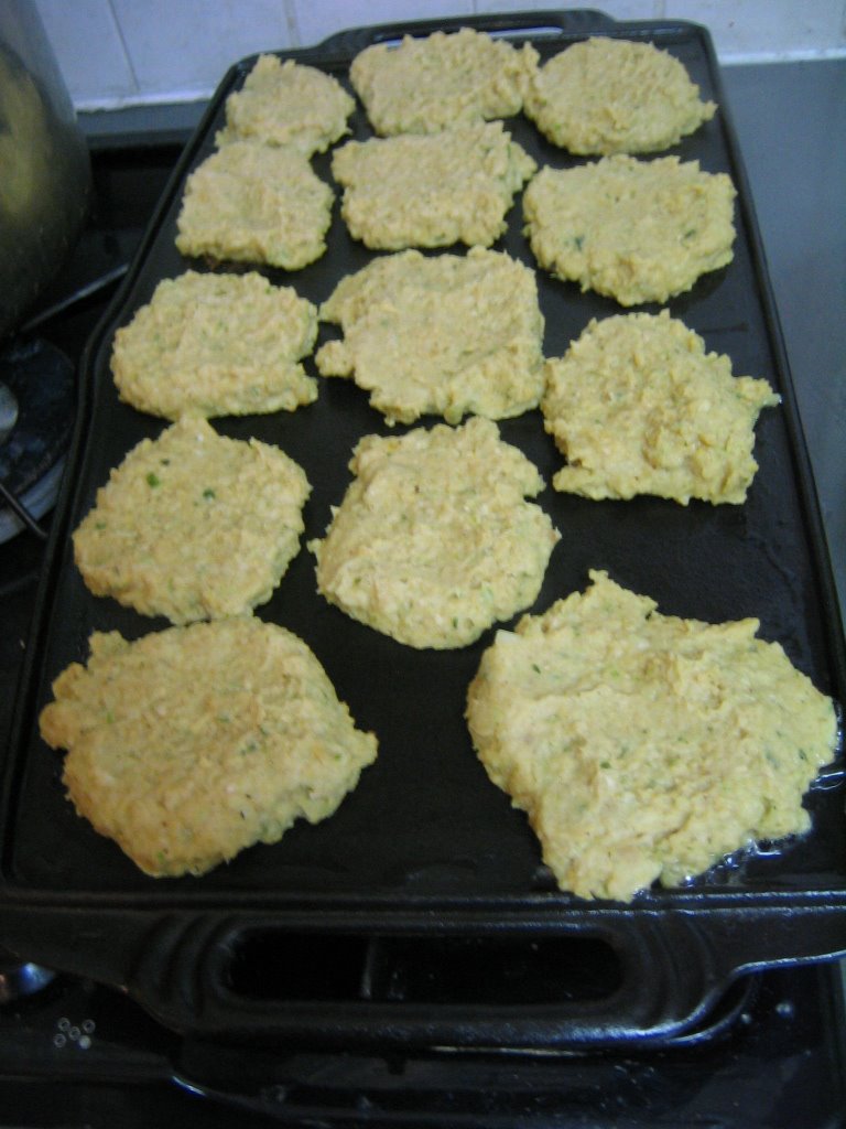 [griddle,+US+106.JPG]