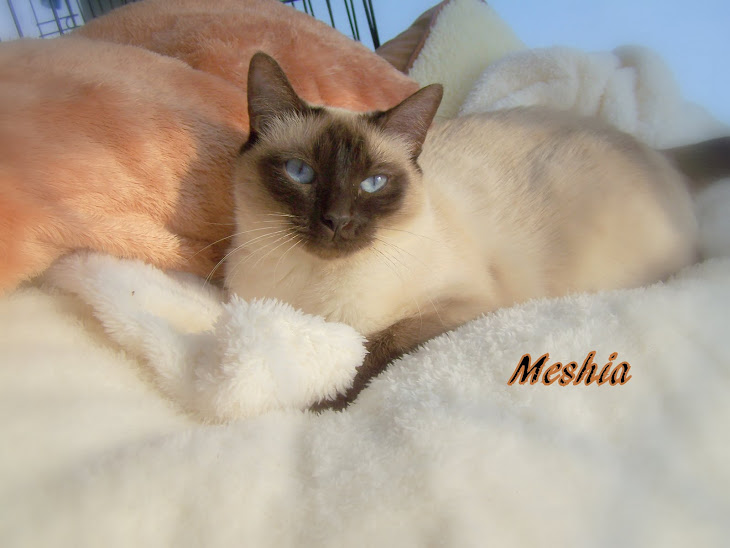 Our Queen Meshia ,  retiring soon.