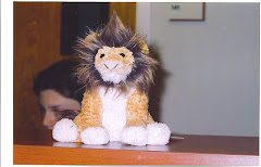 Library Lion