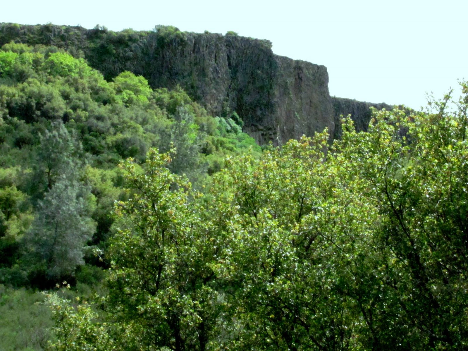 Mid Century Sonora Table Mountain