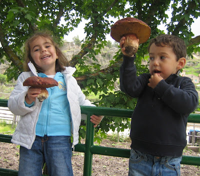 Rabanera del Pinar