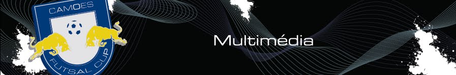 Multimedia