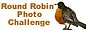Round Robin challenge