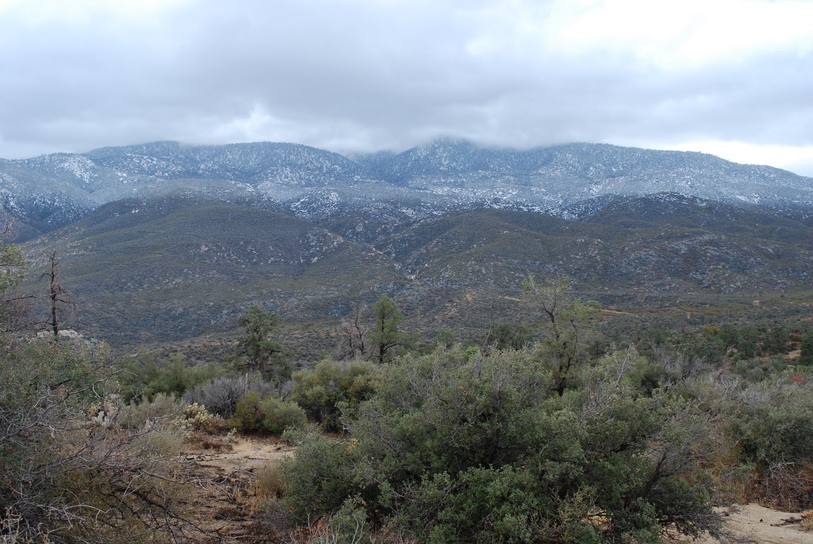 [DSC_0035.JPG]