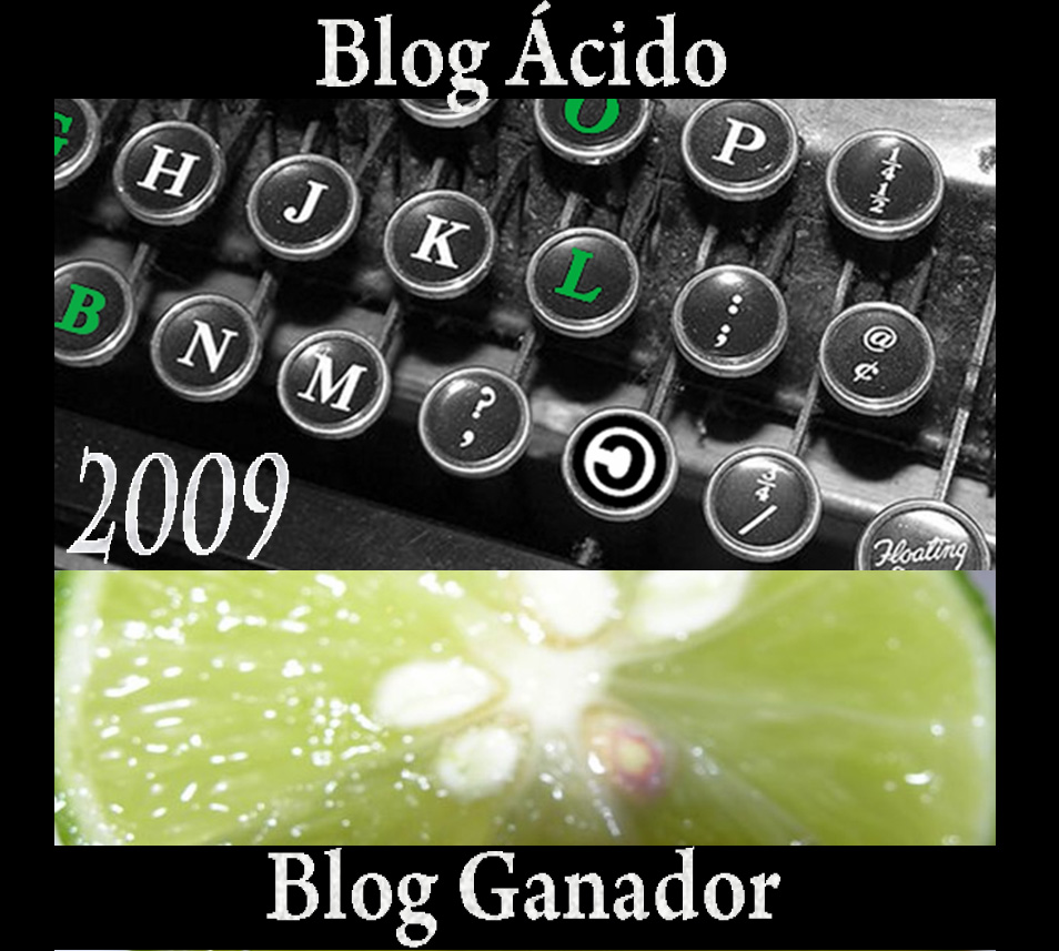 [Blog+acido+2009.jpg]