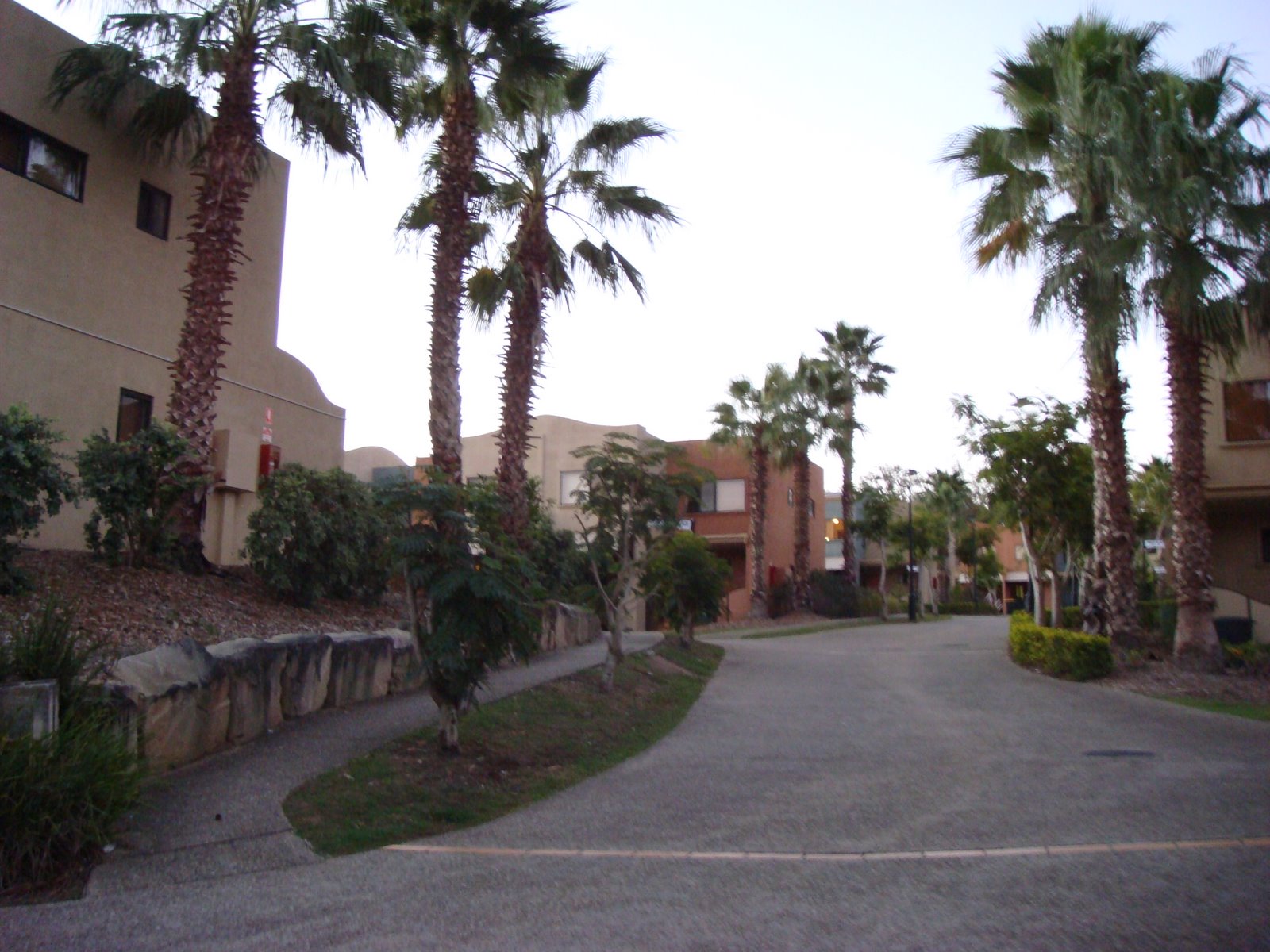 [DSC00384.JPG]