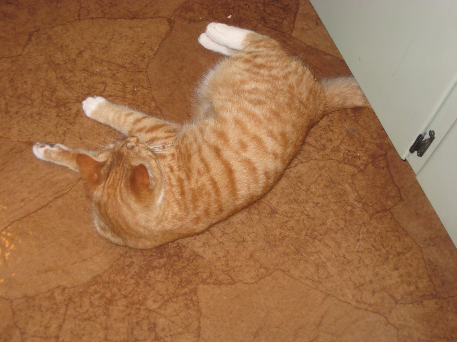 Diy Paper Bag Flooring