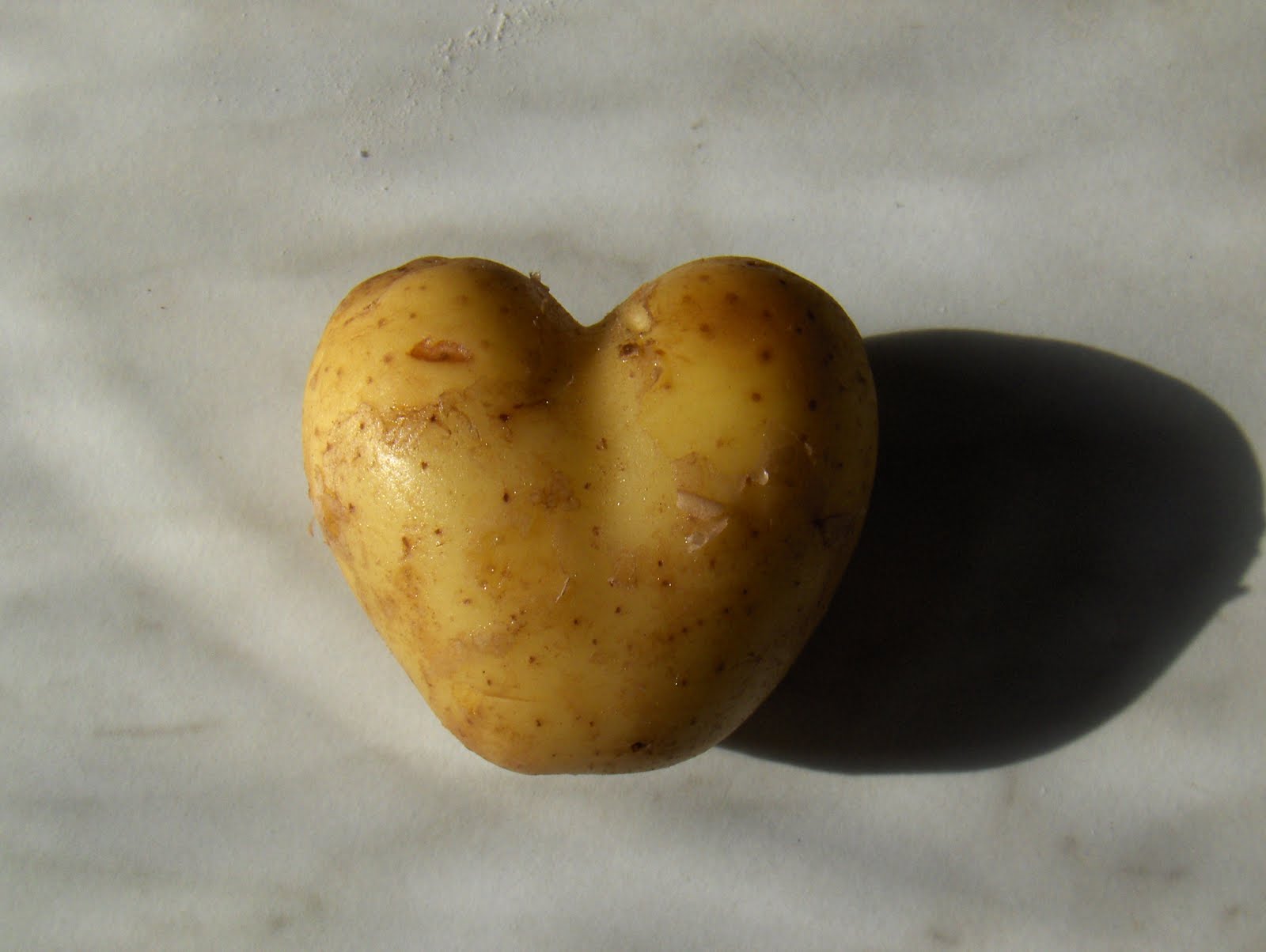 Rice vs. Potatoes (RVP) 180 Degree Health