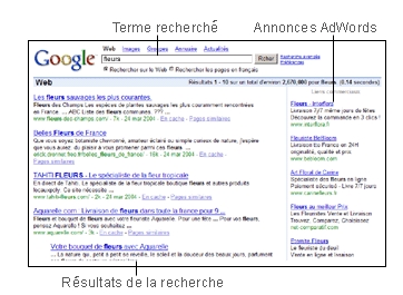 [search_marketing_JPS.jpg]