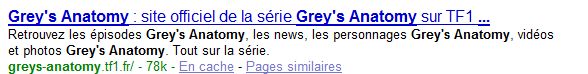 [google_gey_tf1.jpg]