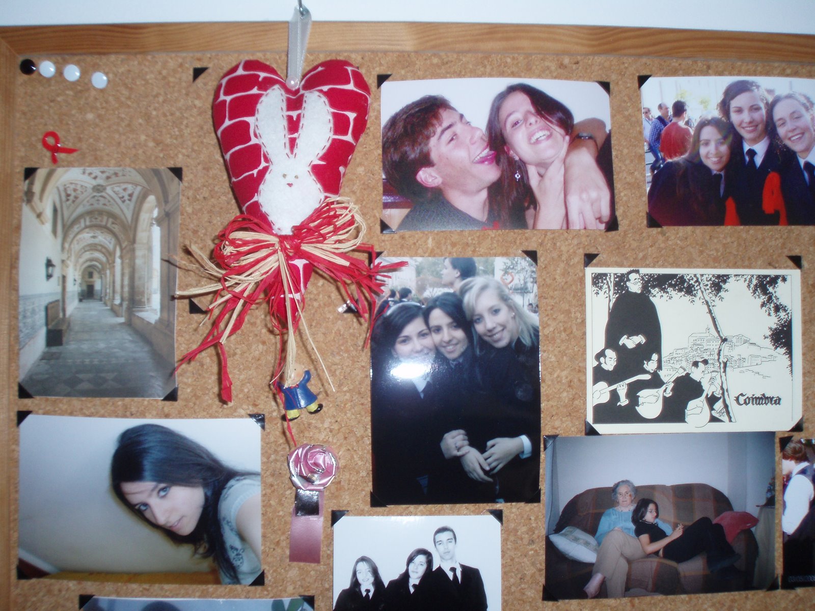 [P1010001.JPG]
