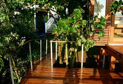 Wooden Treehouse Design Inspiration