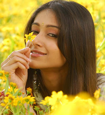 Telugu and tamil hot actress Ileana wallpapers. Telugu and tamil hot actress Ileana wallpapers.