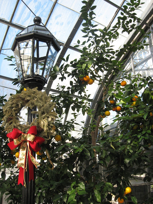 Krohn Conservatory