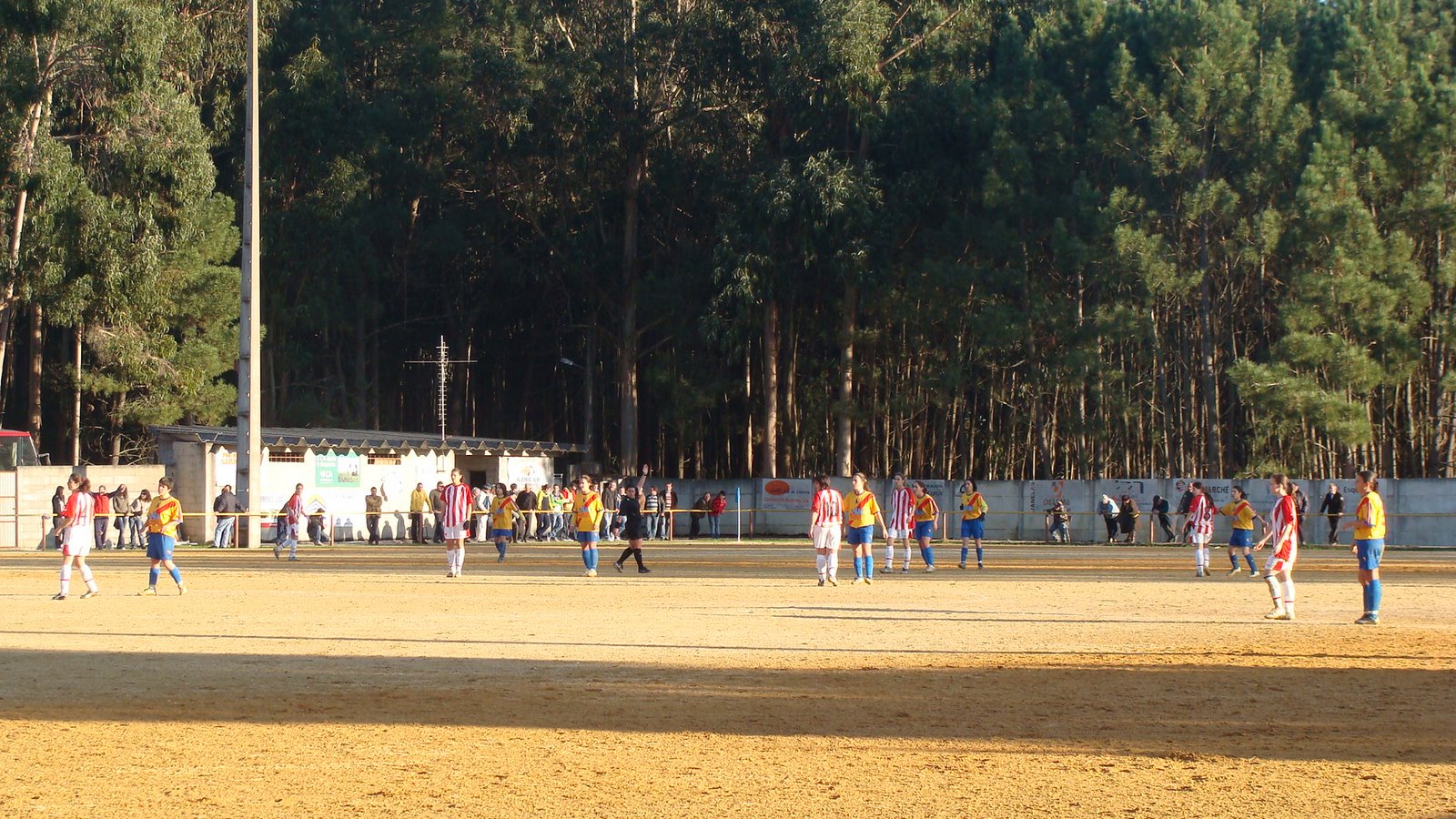 [DSC05146.JPG]