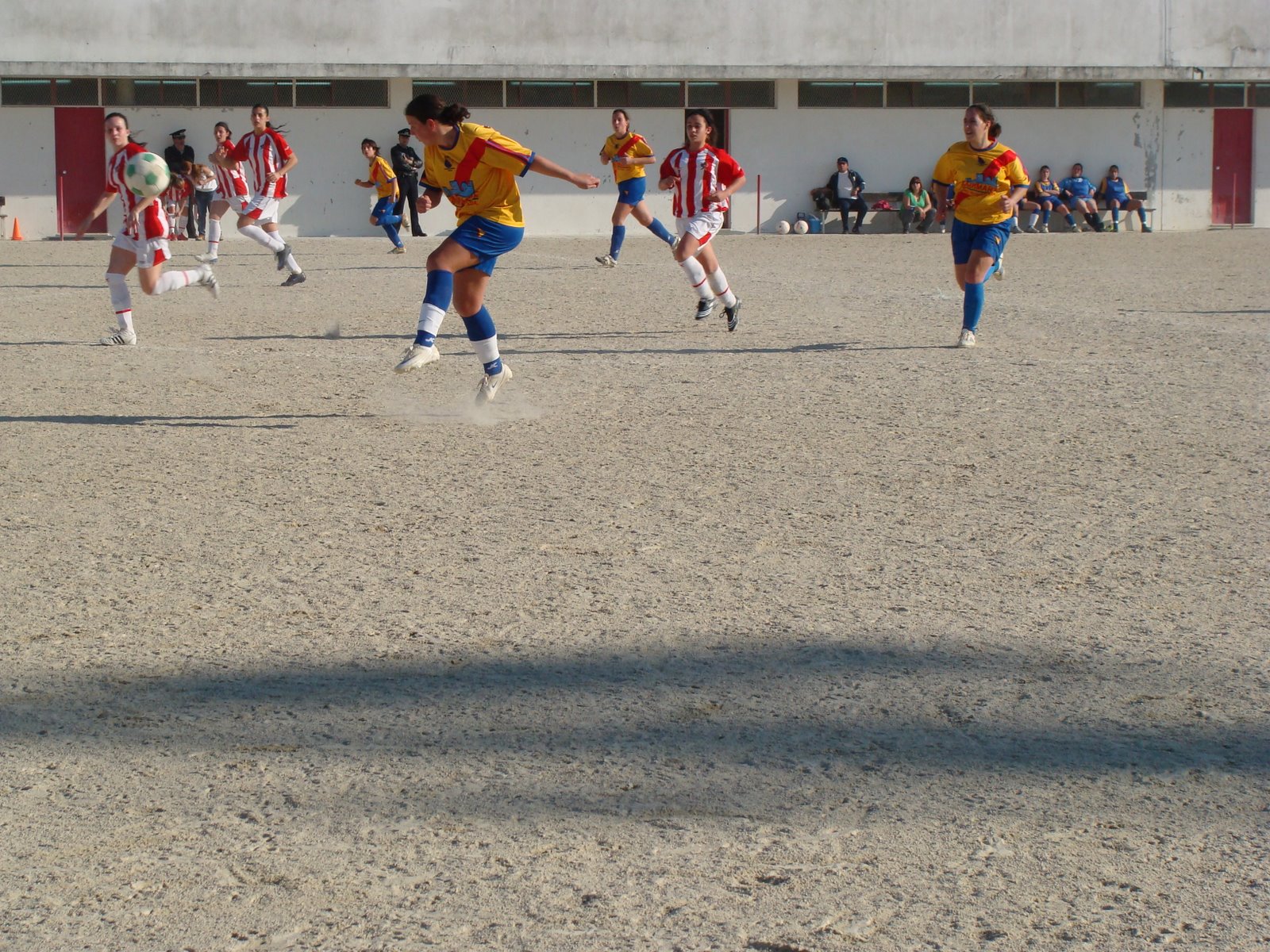 [DSC06337.JPG]