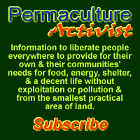 Waiting for Change? Grow Up... Learn Permaculture