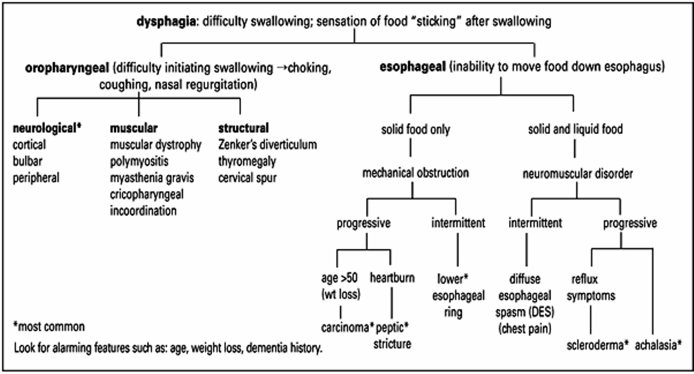 Our medicine Approach to Dysphagia