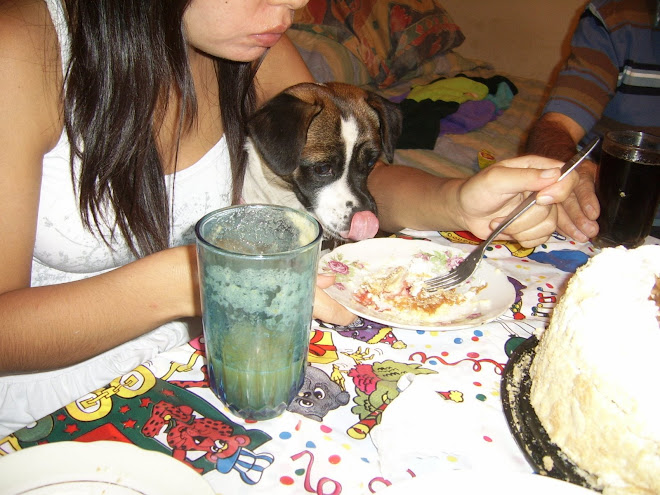 BARTOLO Y SU TORTA