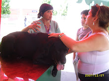 NEGRITO Y SU NUEVA DUEÑA