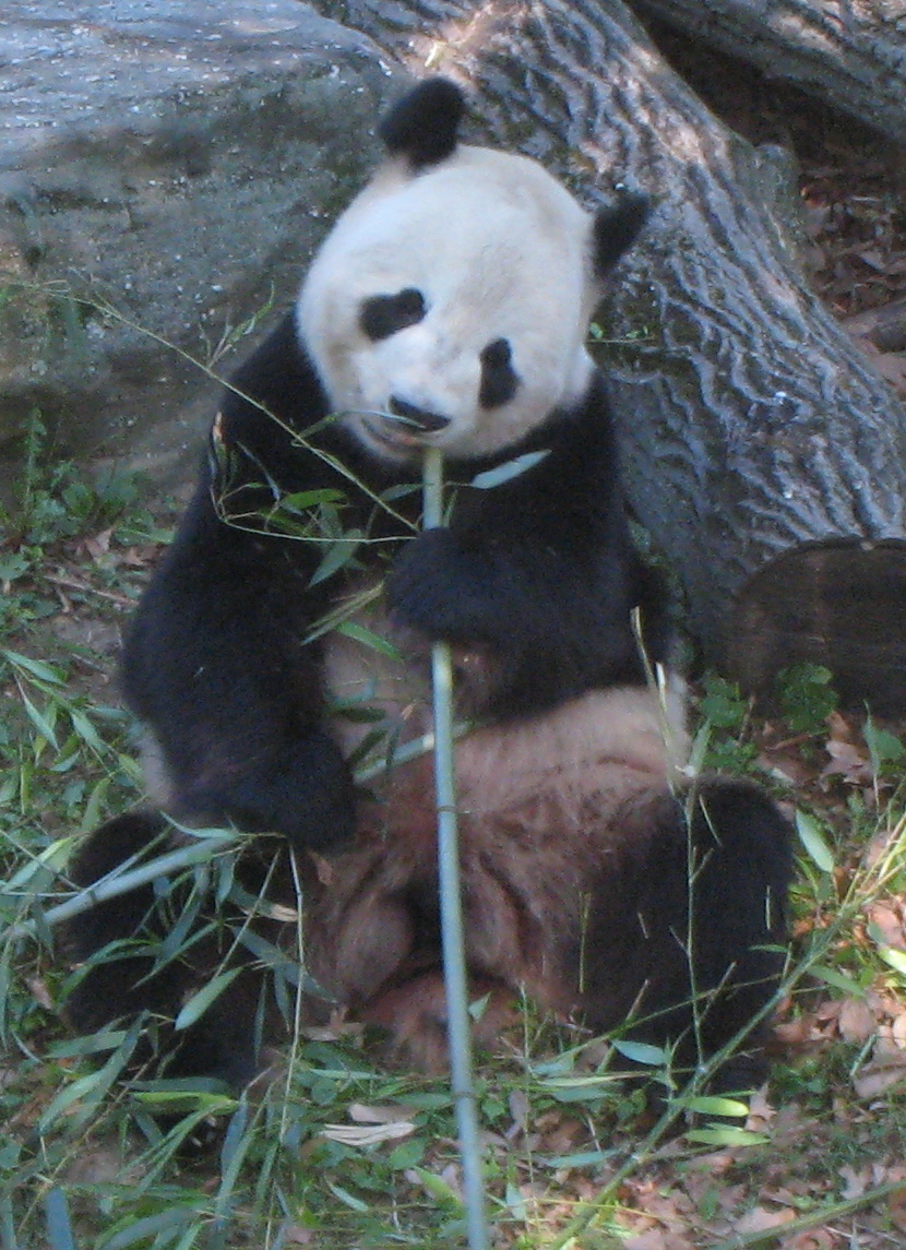 rencontre zoo ile de france