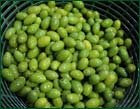Les olives d'octobre (octobri)