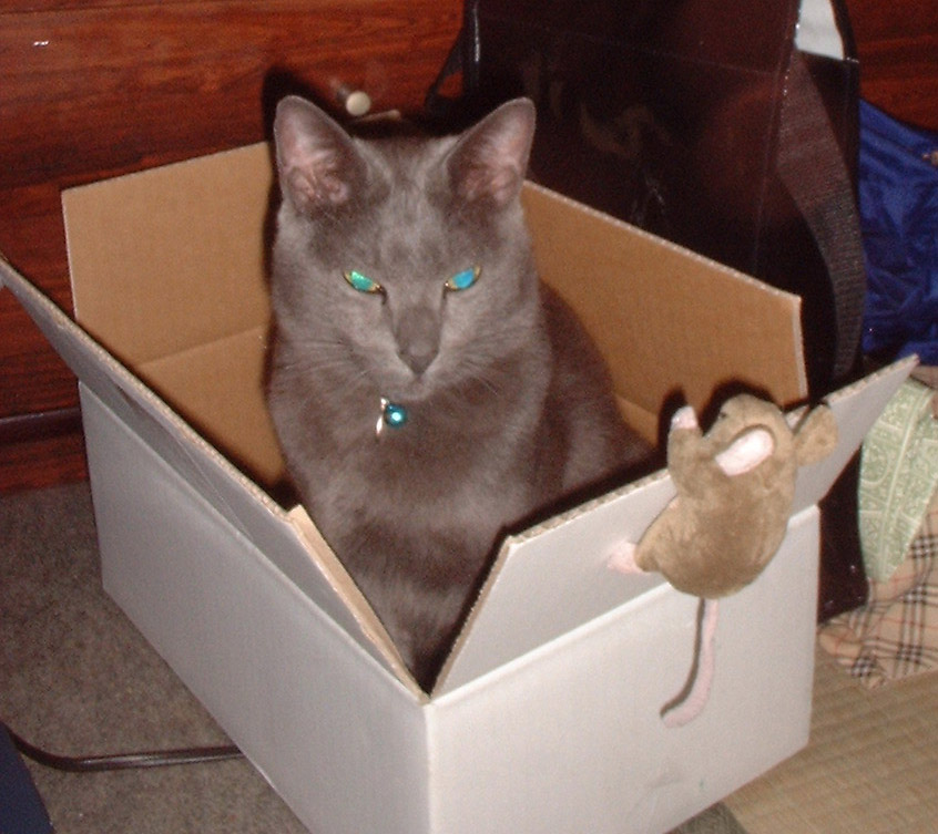 [DSCF0005.JPG]