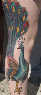 Bird Tattoo Collections 