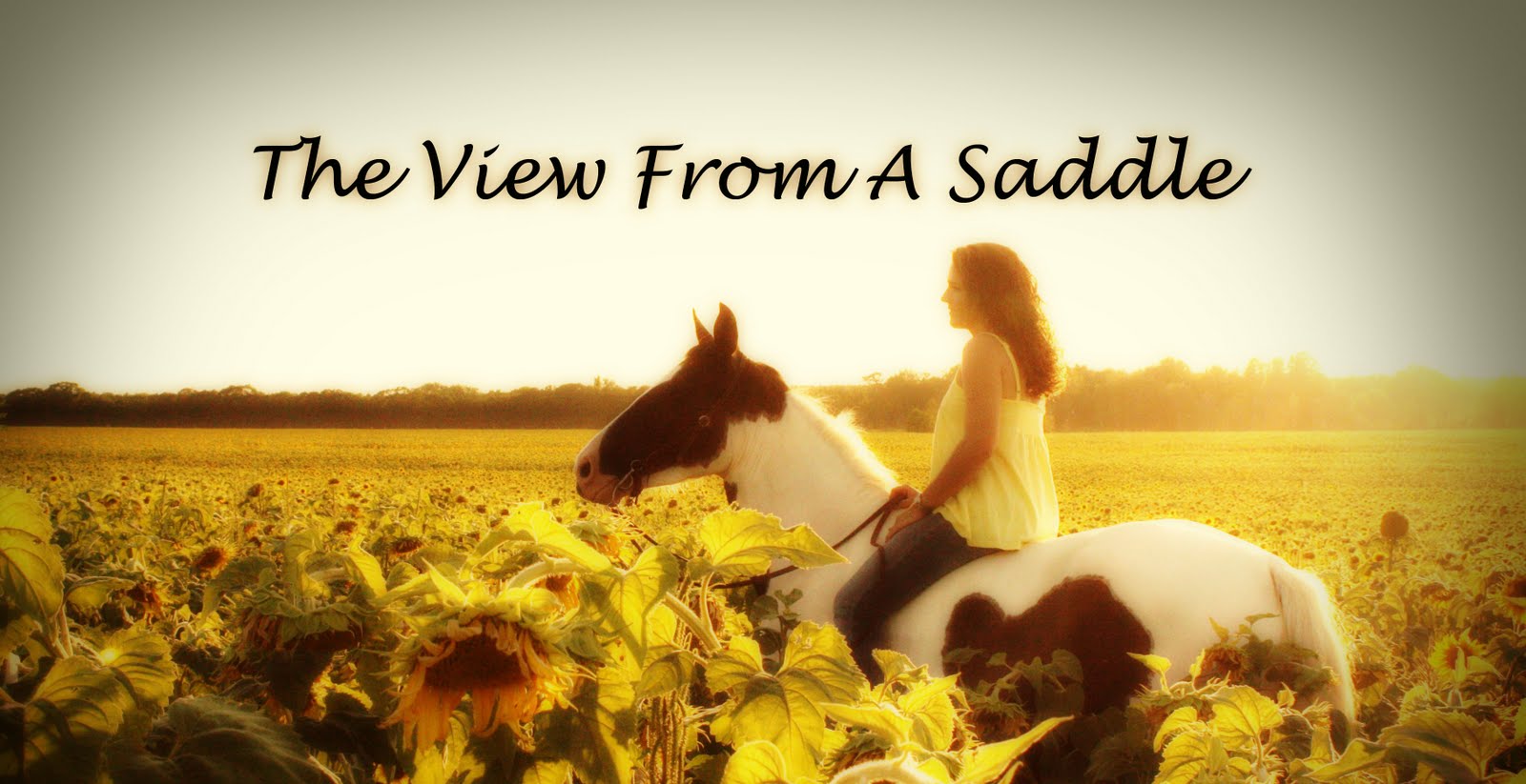 The View From A Saddle