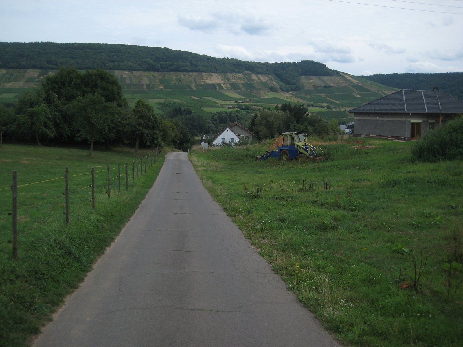 [IMG_0550.JPG]