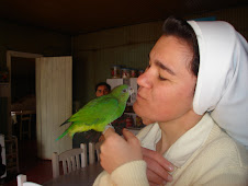 amigo
