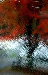 [Chove.bmp]