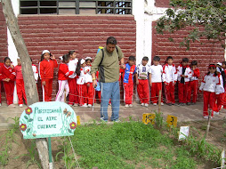 Cultivando alfalfa