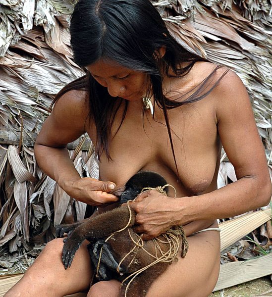 Amazon Women Breastfeeding A Monkey.