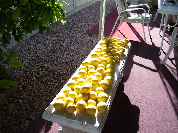 Arizona Lemons