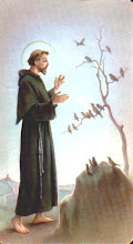Saint Francis...