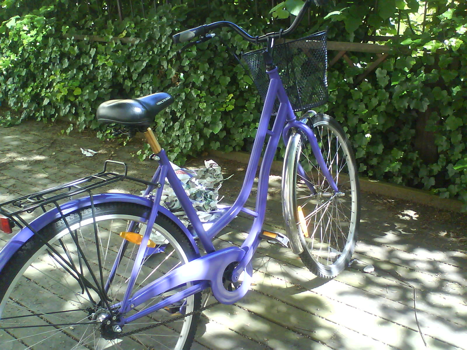 [DSC01442.JPG]