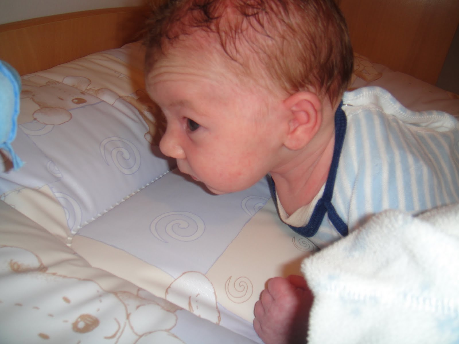 [DSC07175_resize.JPG]