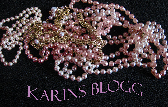 Karins blogg