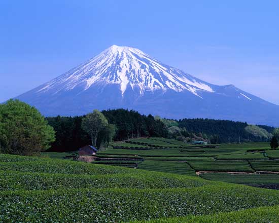 [MonteFuji.jpg]